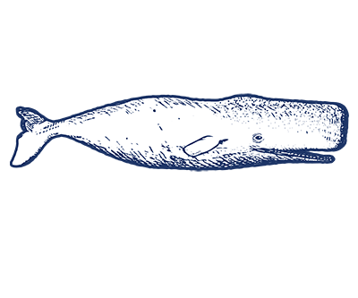 White Whale Craft Ales